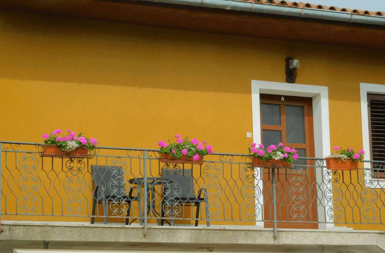 App Palcic K Apartment Novigrad  Exterior photo